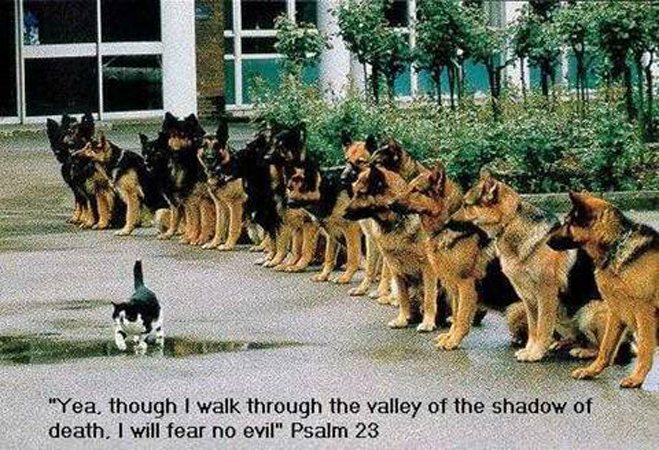 image010