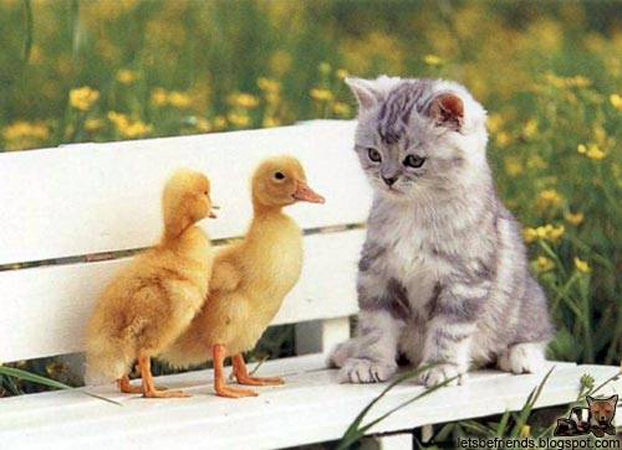 image019